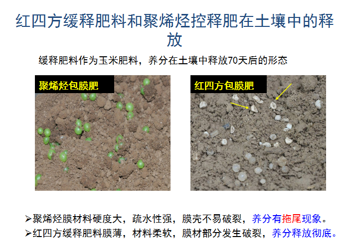 樱桃视频大全免费缓释肥释放肥效展示