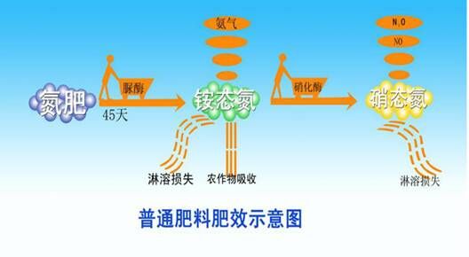 普通肥料中氮养分释放图