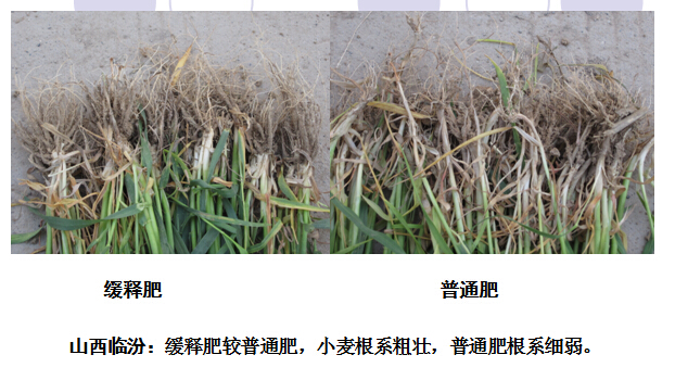 2015年樱桃视频大全免费樱桃污视频在线观看在山西临汾樱桃视频黄色片表现